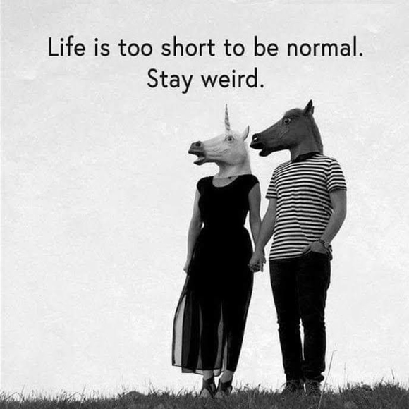 Meet your Posher, David - Picture 7 of 17